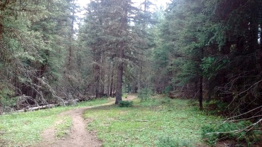 IMG_20150831_134818842