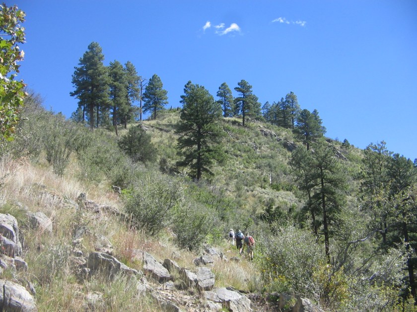 This wasn't the top--still more climbing ahead.