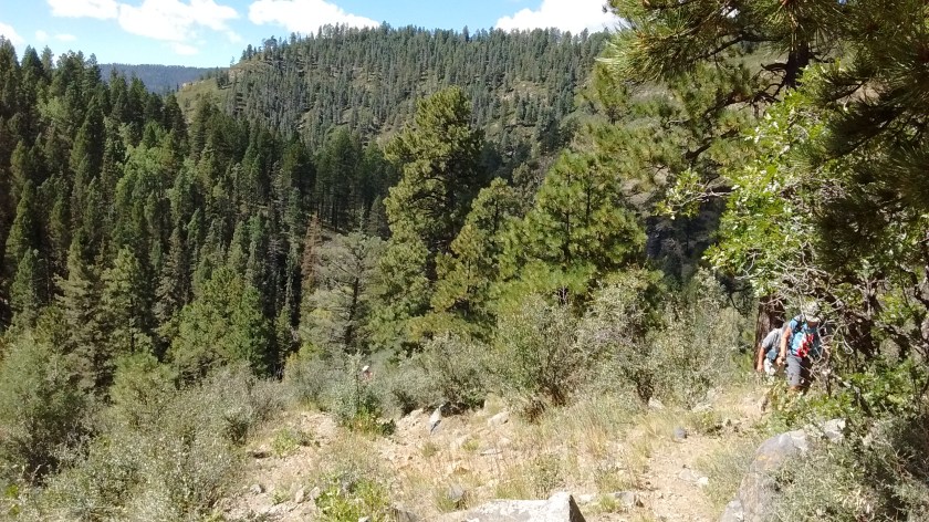 Starting up the steep ridge.