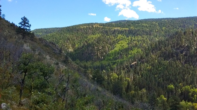 Bear Creek is in the canyon below. The light green of the aspen trees on the slopes will be beautiful gold color in a couple of weeks.