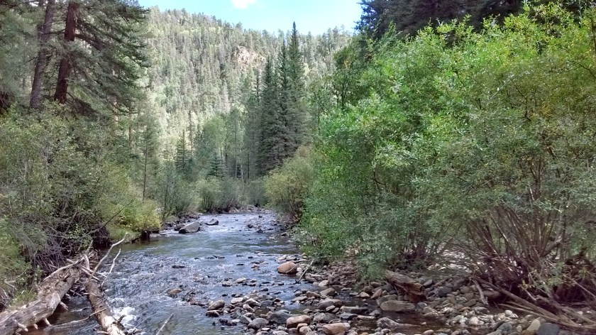 IMG_20150916_145621550_HDR