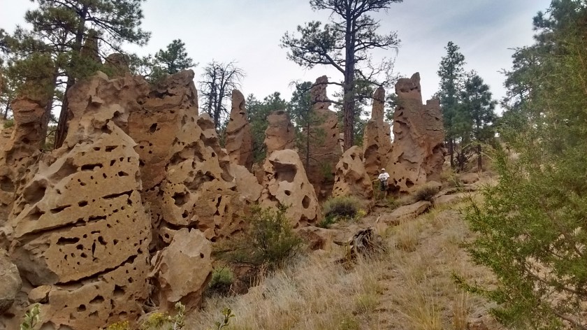 Lee is standing in front to give a sense of scale (the goblins didn't get him).