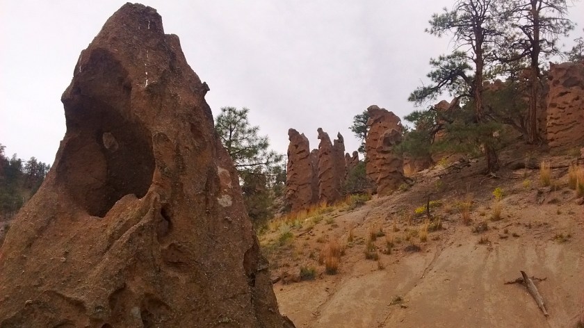 These look like silent ghosts marching down the hill.