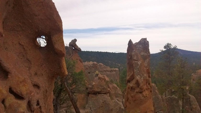 This looks like a face.