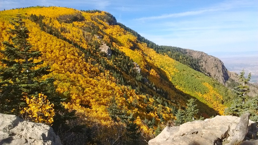 IMG_20150928_091755826