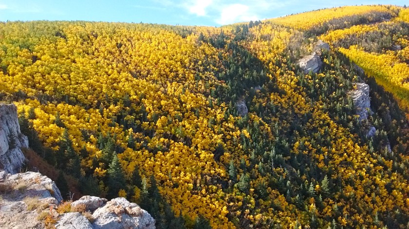 IMG_20150928_092816547