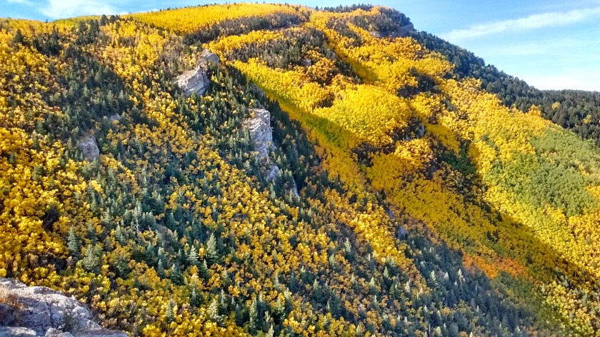 IMG_20150928_092853838_HDR