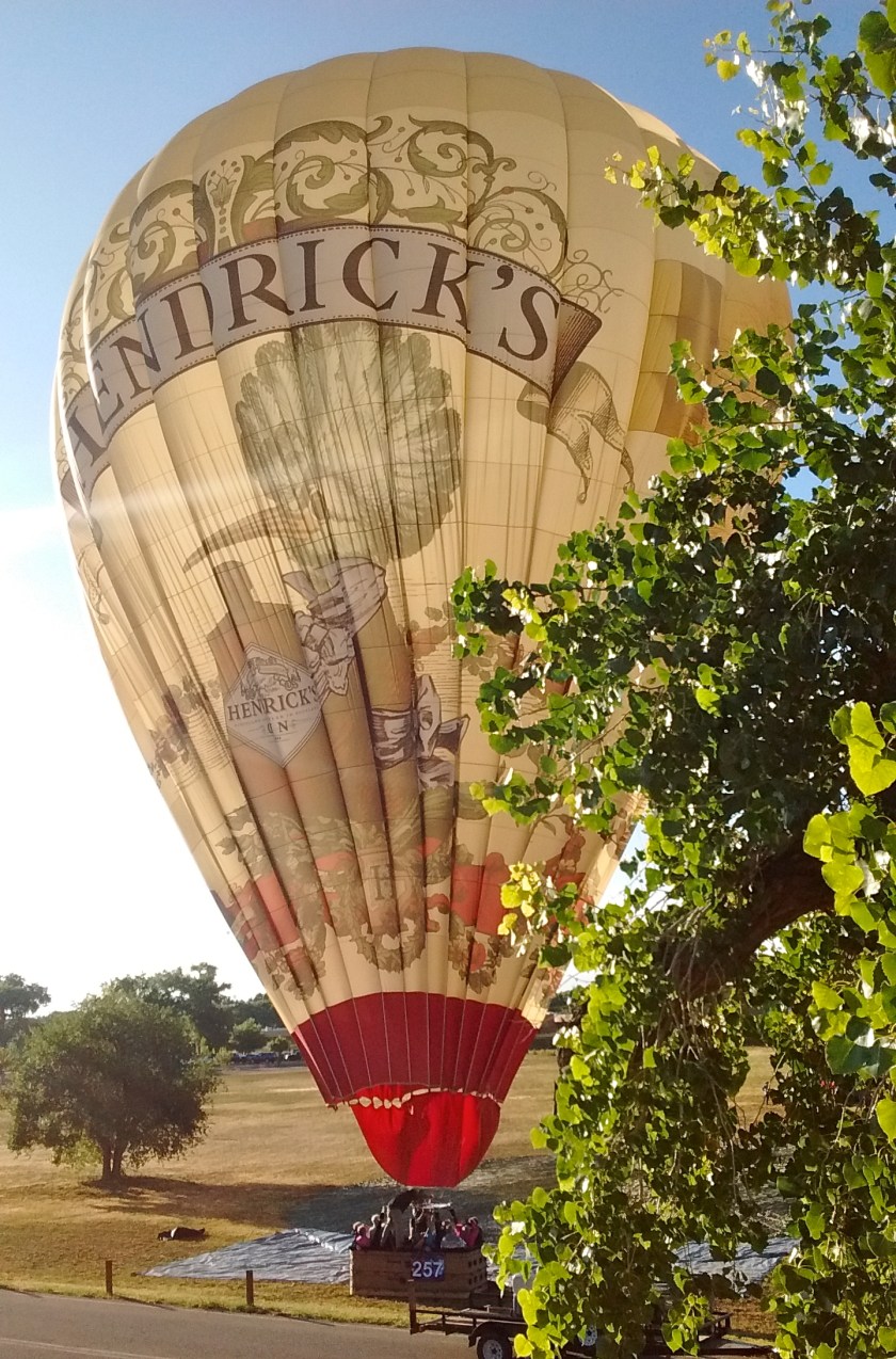 IMG_20151006_082152089