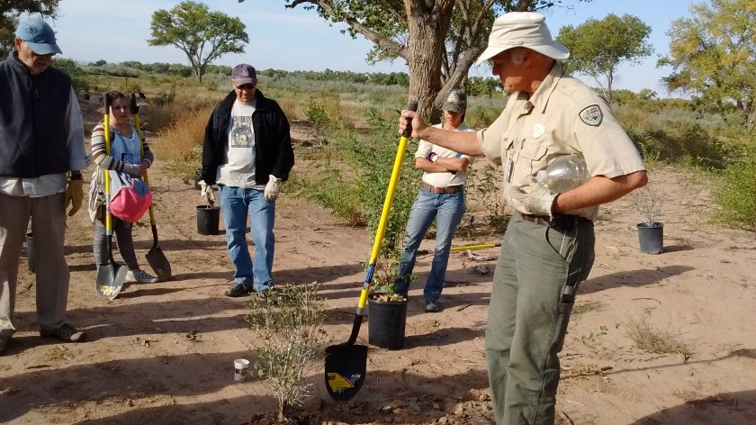 Demo by city employee.