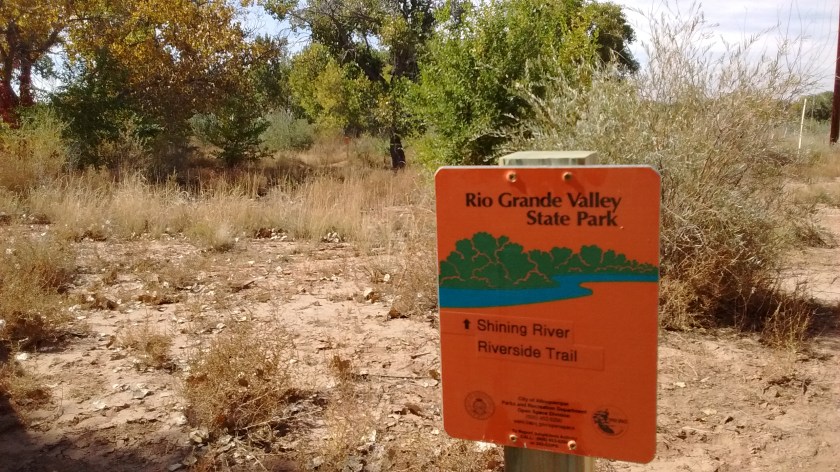 A new 1/4-mile section of this trail was built as one of the projects.