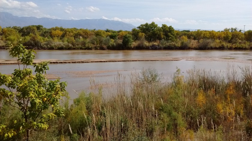 View of the Rio Grande we see when we cross at Paseo del Norte on the bike trail.