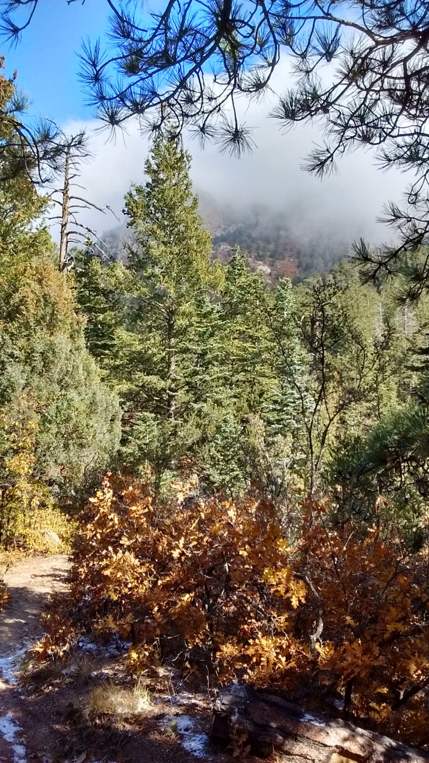 At Oso Pass, looking up at the Crest under the clouds somewhere.