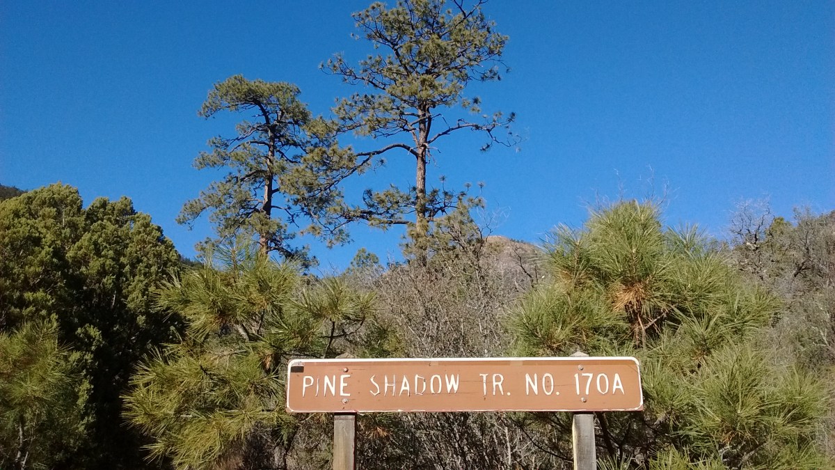 Pine Shadow Trail