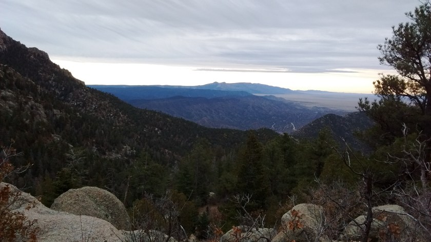 Looking south. Manzano Mountains in the distance.
