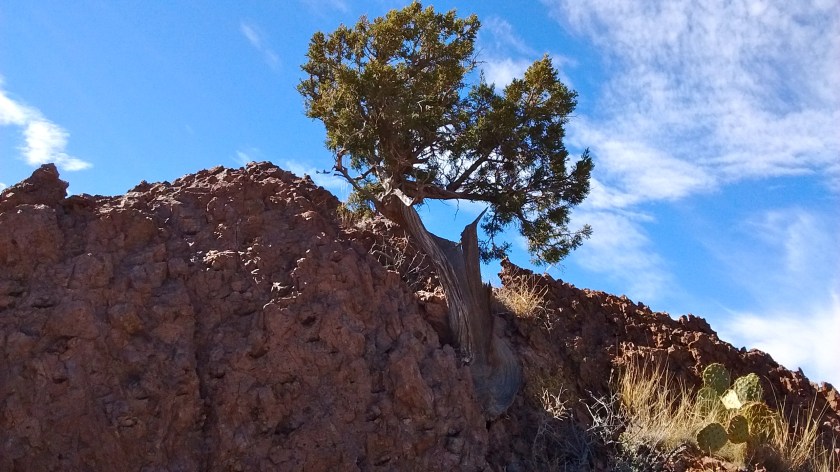 IMG_20160130_115741202