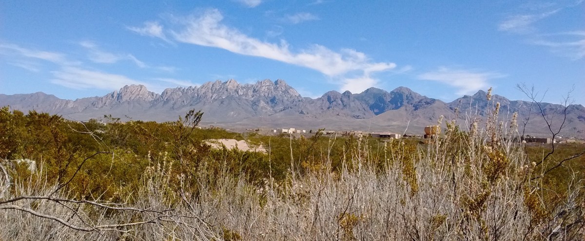 Organ Mountains