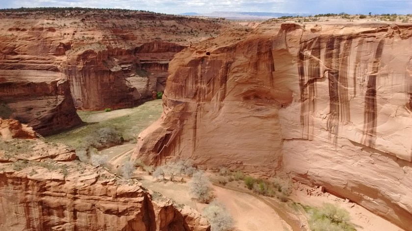 Bottom right corner of photo, just above tree, you can see ruins known as Antelope House.