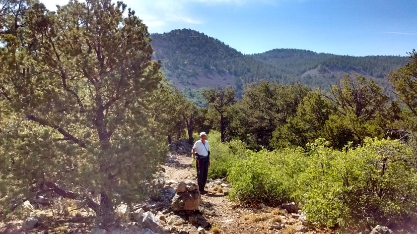 We were fooled at this point. We thought our destination was the ridge ahead but turns out there was much more hiking to another ridge behind that one.