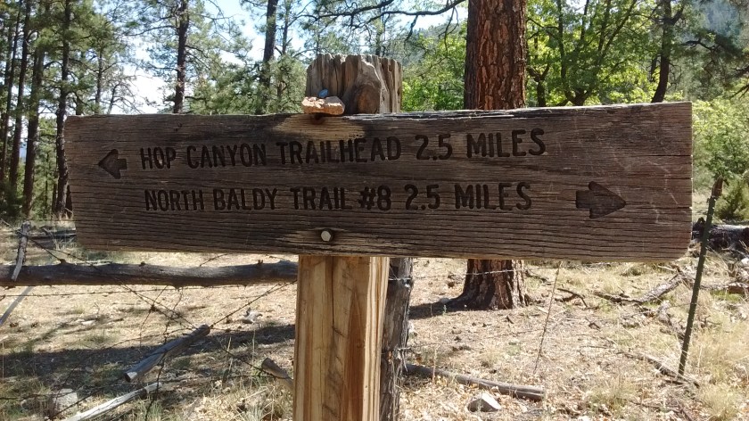 The halfway point. A brochure from the ranger station showed the Hop Canyon trail was 2.5 one-way, but somebody was confused because there was still 2.5 miles to go before getting to the ridge.