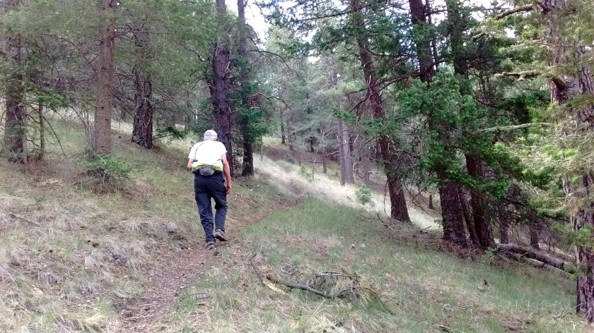 IMG_20160609_113314147