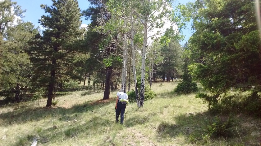 IMG_20160609_113541974