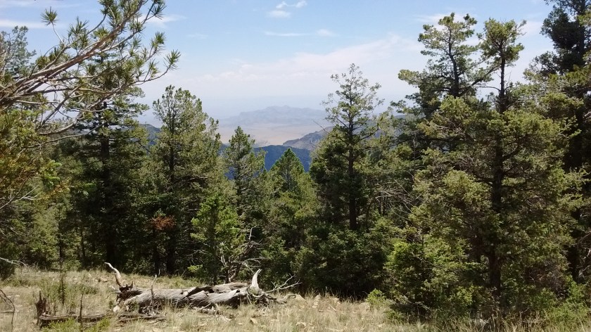 Looking east from the ridge towards Socorro, which is behind the small mountain.