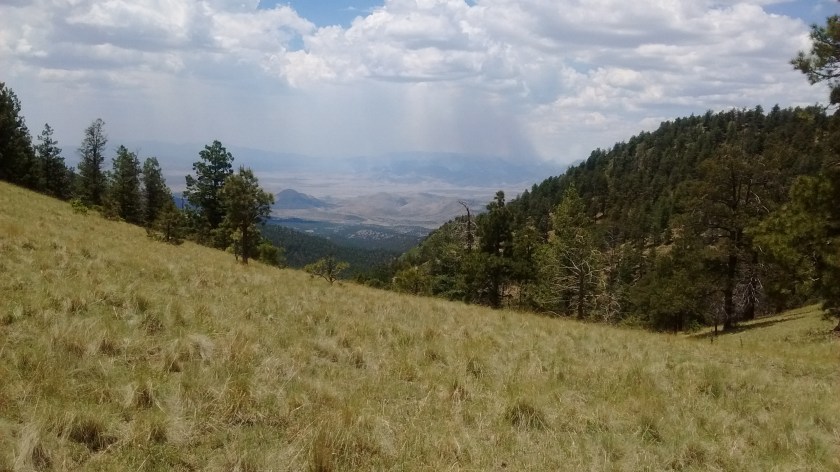 Forest fires in the San Mateo Mountains to the southwest of the Magdalena's.