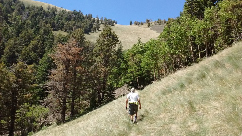 It doesn't look far to that ridge, but would have been another hour of hiking to get there.