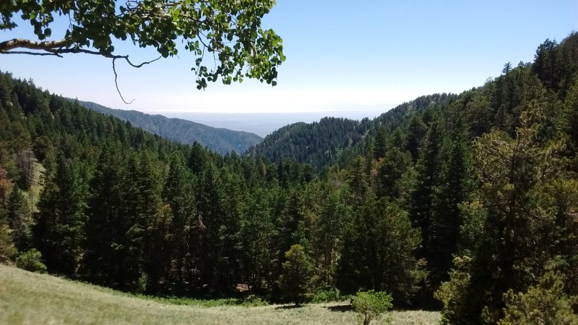 View looking back the way that we came up from 3 Rivers.