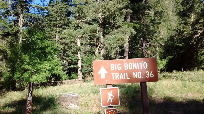 2nd day's hike started on the Big Bonito Trail, much more inviting than the start of the 3 Rivers Trail.