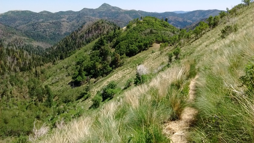 Looking north at Nogal Peak.