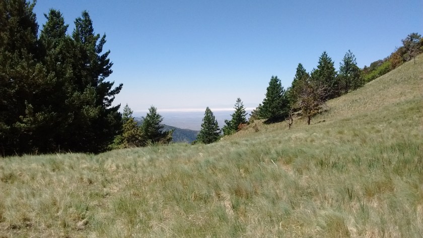 From the ridge, looking south east you can see the White Sands National Monument in the distance.
