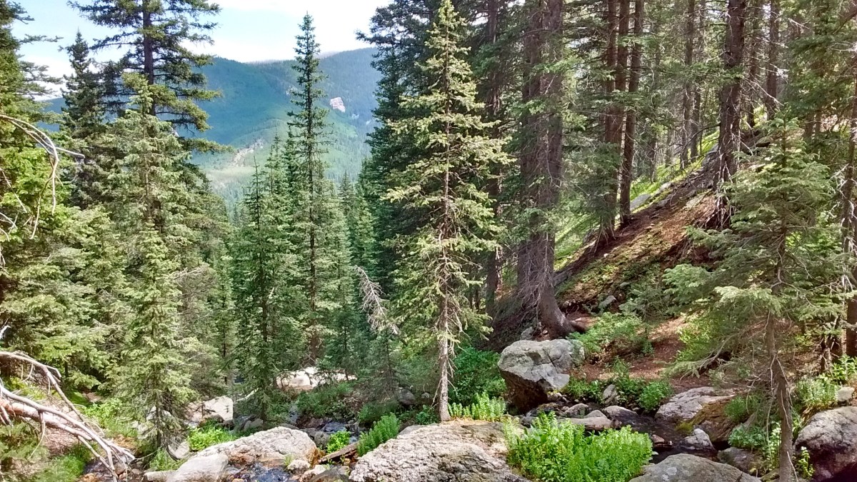 Head for the&nbsp;Hills