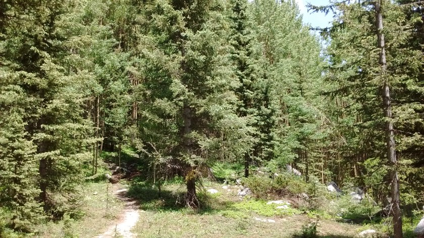 The mountains are calling.