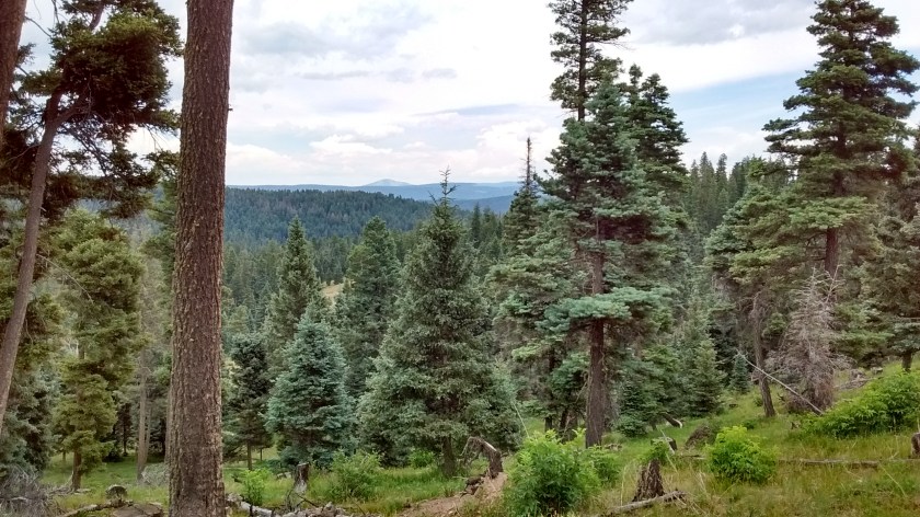 The peak on the far horizon is Redondo Peak in the Valles Caldera National Preserve.