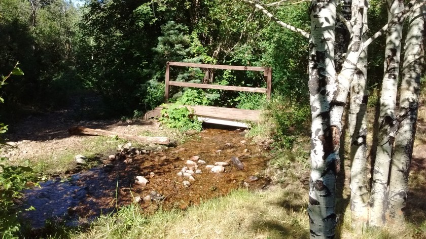 The start of the second day's hike was this peaceful setting, crossing the little stream, not realizing how steep the climb was going to be as we followed the stream up the mountain.