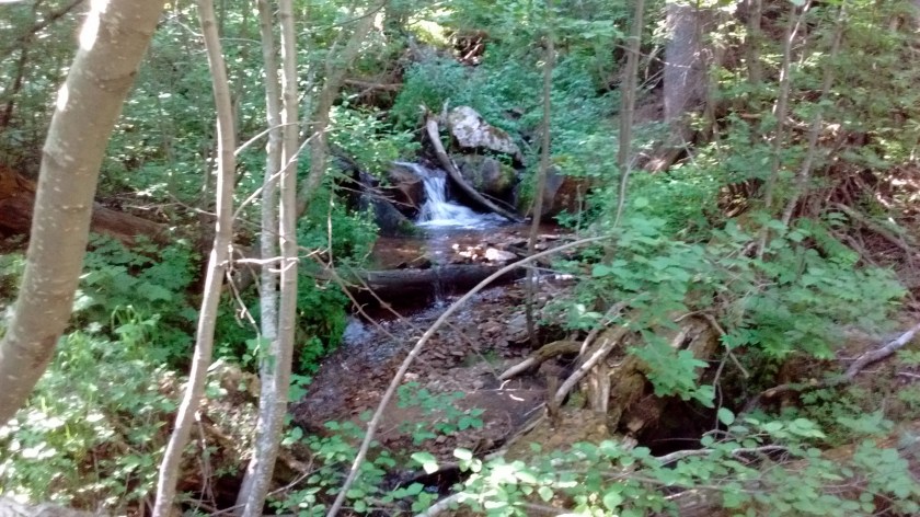 Not a lush waterfall like you might see in the Pacific Northwest, but in New Mexico we take what we can get.