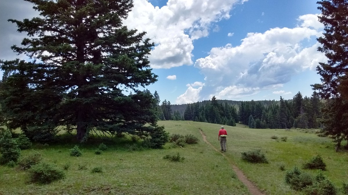 San Pedro Parks&nbsp;Wilderness