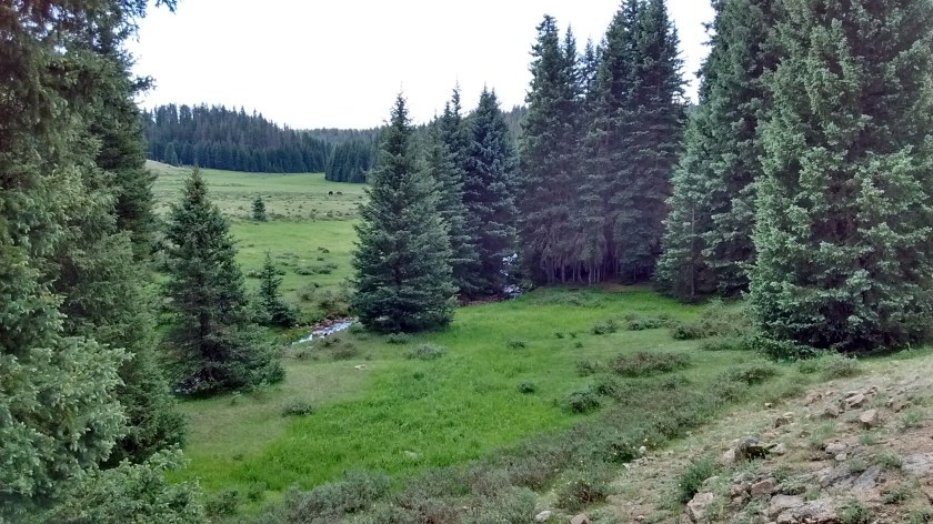 IMG_20160628_113535828_HDR