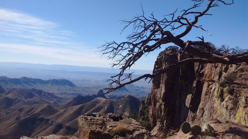 View from the South Rim.