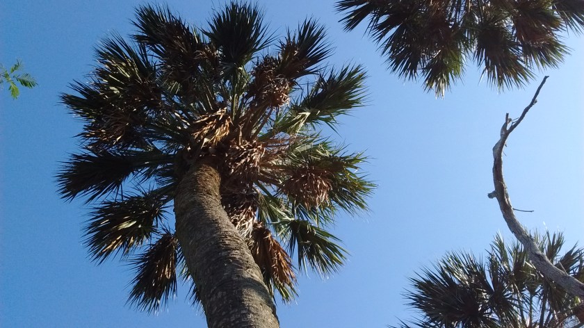 img_20170102_100443120