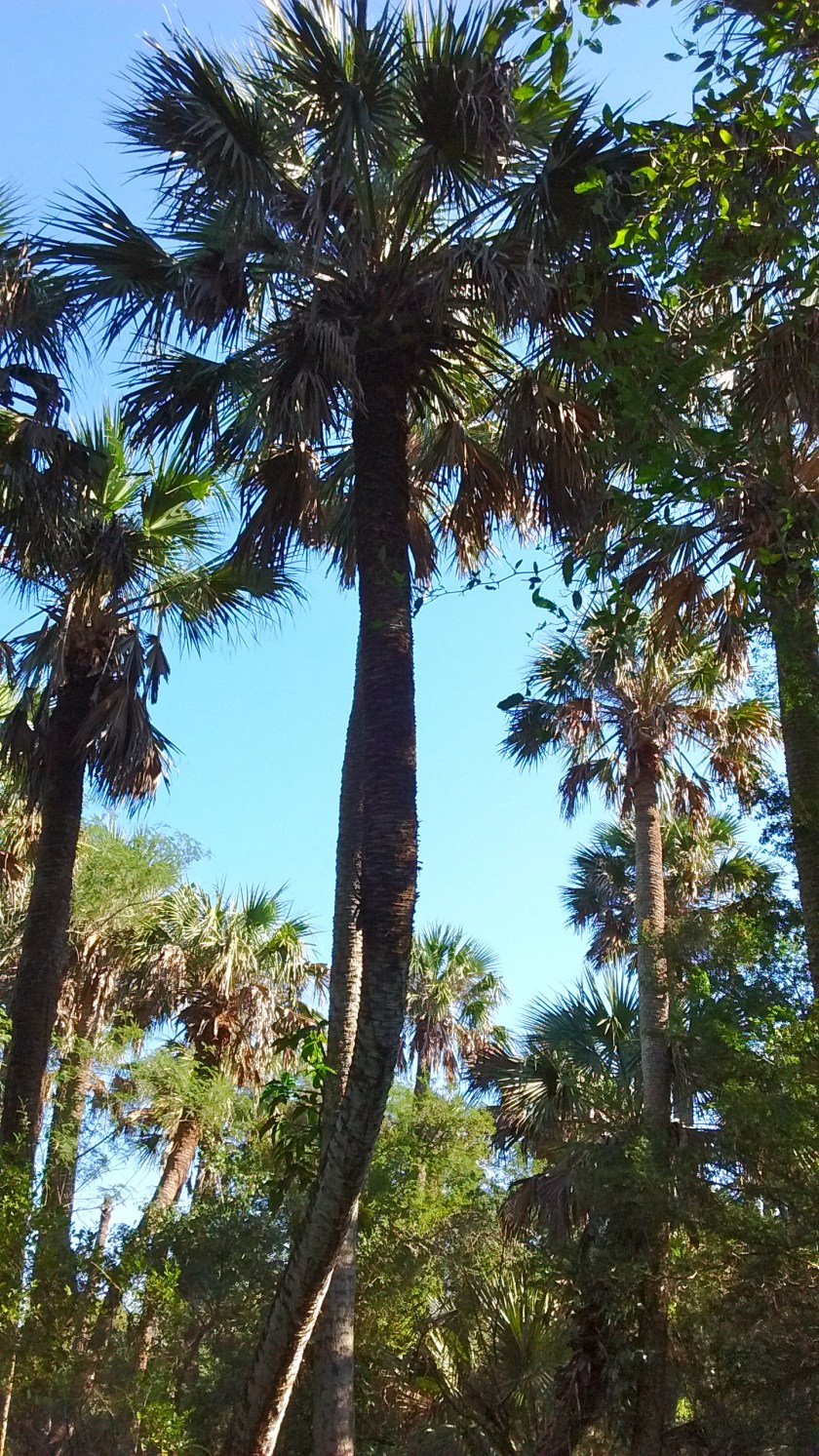 img_20170102_104313213