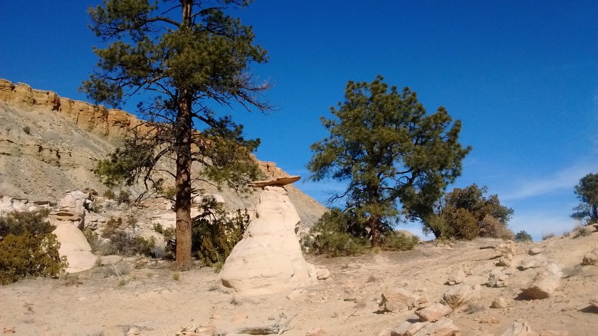 img_20170201_102647806