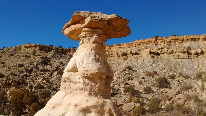 img_20170201_102736896