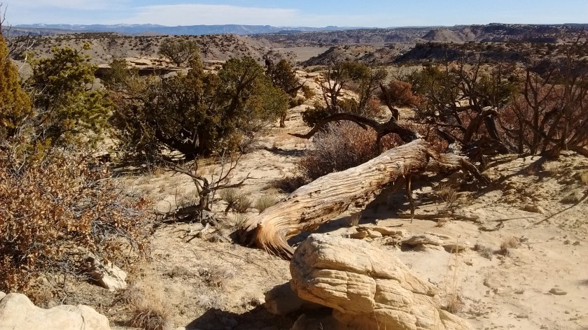 img_20170201_103906883