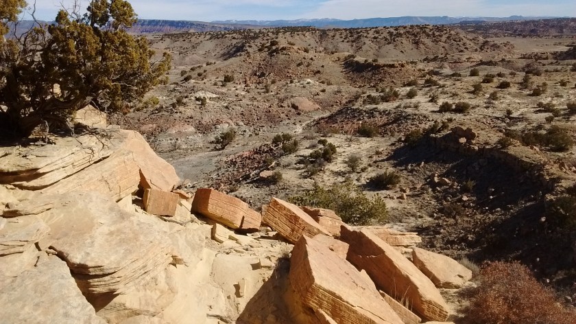 img_20170201_104233174