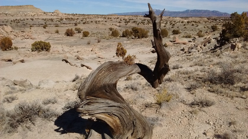 img_20170201_111927276