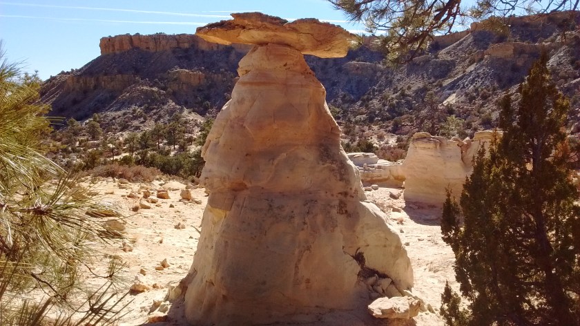 img_20170201_123546116