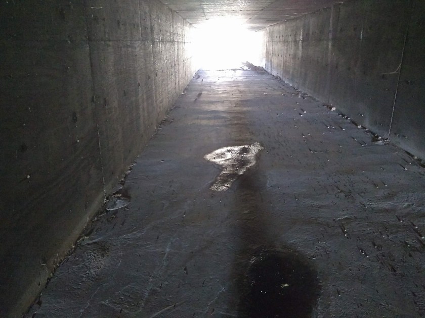 tunnel