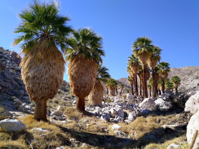 IMG_20190125_104236936